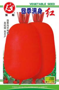 四季满身红